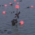 王吃鱼 - 日落人海