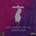 A D A I R mx - Los Labios De La Sabiduría (Explicit)