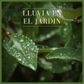 Lluvia en el Jardin