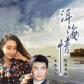 隆鑫飞歌、踏雪寻梅 - 洱海情