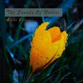Guitar of the Mountains - Rest While Run