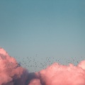Nature Melodies | Calm Night