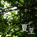 念白 - 煙