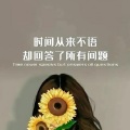 东胜哥、醉醉 - 不止心伤