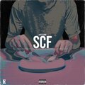Alin Florin - SCF