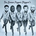 The Lemon Pepper Stepper's、Thi3rd、Kool、Ejay Moore、Koca Kaflarr、Marcus Anthony - Lay It Down (feat. Thi3rd, Kool, Ejay Moore, Koca Kaflarr & Marcus Anthony)