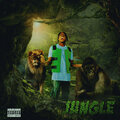 Vibez - Jungle