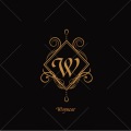 Waynear - RISE 登峰造极境 (Waynear remix)