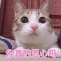 锦零 - 光年之外