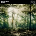Michael Rogel - Winslow Dragon