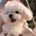 齐焓菲、任子沐 - 特别的