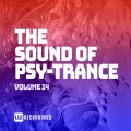 Manmademan - Voices In My Head