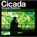 〜introduction for Cicada〜