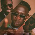 Searching For My Love (Remix)