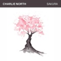 Charlie North - Hold Me