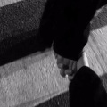 顾訓 - 不顾