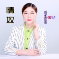 情奴 (DJ彭洋版)