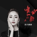 唯一的歌 (Remix)(DJ苏平版)