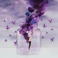 $lusheeyy、Jakebcmusic - Mad In Love
