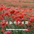 叶天 - 火红的萨日朗