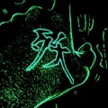 JERMSEGO、G R X Y、Zay The Comedian、Stix - Thinking out loud Cypher (feat. G R X Y Zay The Comedian & Stix)(Explicit)