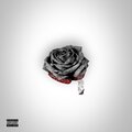 Splrrge、lexxwonderr < - shawty