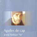 Josep Andújar “Sé” - Agulles de Cap