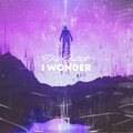 Du Saint - I Wonder