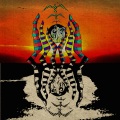Matt Duke - Zebra