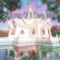 43 Auras of a Deep Mind