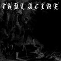 Thylacine