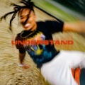 Understand (Explicit)