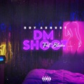 DM Shoot (Explicit)