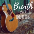 Carlo Ambrosio、Fabio Di Bari - The Reverend's Blues