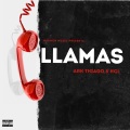 ARK Thiago、HCL - LLAMAS (Explicit)