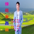 绿花来西藏