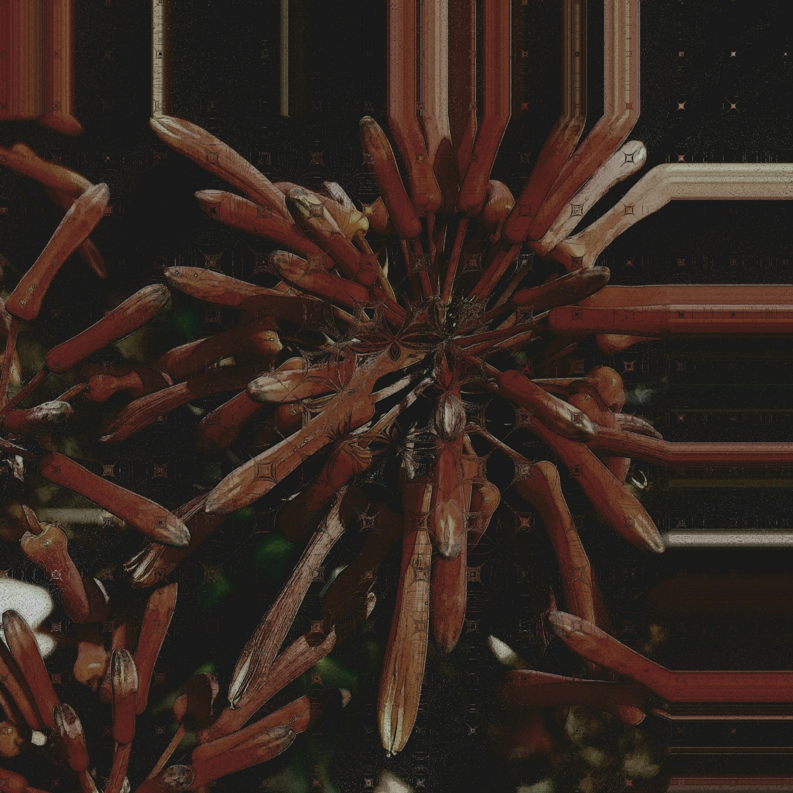 Materialize