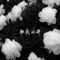 Meteora、勾玉HookJade - 触底回弹