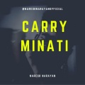 Naresh Narayan - CarryMinati