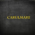 LUCA - Carulmare