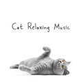 Pet Care Club - Forest Ambience