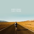 贰大耶 - 此生不换
