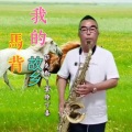 我的马背故乡 (remix: 萨仁)