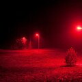 BLOODYAID - red lights (Explicit)