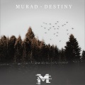 MuraD - Destiny