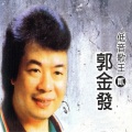 郭金发 - 再会夜都市