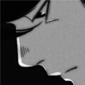 zZzN - 舔狗相对论