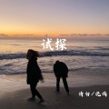 试探