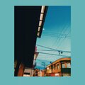 Vintage Beats Man - Pescado