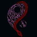 Cin、Cina Khaledi - 13 (feat. Cina Khaledi)